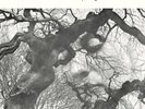 GAP MANGIONE - DIANA IN THE AUTUMN WIND LP NEW