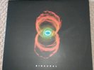 PEARL JAM:  BINAURAL  (Vinyl, 2000)   E2 63665. 1st US PRESSING.