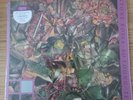 The Stone Roses So Young Tell Me Raspberry 12