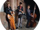 Stray Cats Live At The Roxy 1981 (Picture Disc Vinyl LP) Records & LPs New