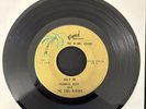 Frankie Seay & The Soul Riders - Rare Miami 60s Soul 45 (Clips Included)