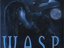 W.A.S.P. - Still Not Black Enough 1995 LP, Album, Ltd, Num Raw Power,Castle Comm