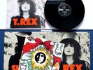ORIGINAL 1972 DELUXE T REX THE SLIDER LP RARE ART T.REX T-REX
