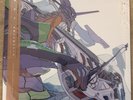Evangelion 30th Neon Genesis Cruel Angel's Thesis Color Vinyl 1st Press