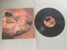 Butthole Surfers - Pepper - 10 Inch Vinyl Record - Promo 1996 - CLEAN TESTED