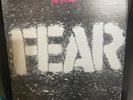 Fear - The Record - Vinyl - Punk Rock Record 1982 Original