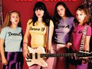 Donnas American Teenage Rock 'N' Roll Machine (Fire Or (Vinyl) (Importación USA)