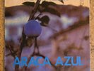 Caetano Veloso Araca Azul OG 1973 Vinyl LP Brazil Philips Gatefold 6349 054