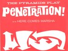 THE PYRAMIDS-RED VARIATION PICTURE SLEEVE+45-(PENETRATION)--PS-PIC--SLV