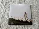 Kacey Musgraves Deeper Into The Well Vinyl Bad World Liquid Filled LP Record