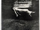 BILL EVANS UNDERCURRENT LIBERTY LBJ60051 Japan VINYL LP