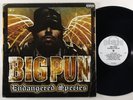 Big Pun 