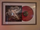 The Steel Woods Straw in the Wind Red Vinyl LP Record Album