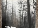 The Cure a Forest UK 1980 12