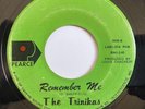 TRINIKAS Remember Me/Black is Beautiful RARE SOUL FUNK 45 *hear*