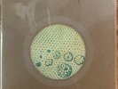 THE SHINS When I Goose Step/The Gloating Sun b/w New Slang Sub Pop Ltd Ed 7”