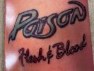 Poison Vinyl - FLESH & BLOOD Vinyl LP  1990 Capitol/Enigma VG+/VG+