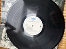 Rage Against The Machine  Vinyl Album LP  Rage Against The Machine