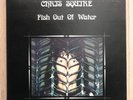 Chris Squire - Fish Out Of Water (LP, Album, Gat, Atlantic SD 18159) NEAR MINT