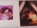 Kate Bush - two vinyl albums (both first pressings) - Hounds Of Love & Lionheart