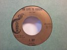 J.Jay & The Dell-Tones Too Late To Forgive Texas R & B 7