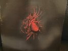 S.V.E.S.T. – Urfaust 2003 End All Life