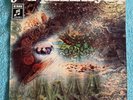 Pink Floyd -MINT-Archivcopy- 