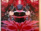 Blue Mountain Eagle Blue Mountain Eagle vinyl # SD 33-324 1970 US Original EX/EX