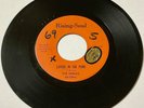Fidelics SWEET SOUL 45 Lovers In The Park  I Love You Baby RISING SOUL VG++ HEAR