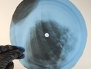 BEATLES LADY MADONNA X-Ray USSR Record Roentgen Bone Ribs Music Vinyl