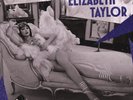 Taylor Swift- Elizabeth Taylor  Record Store Day 2026 Excl. 7