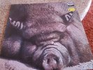 Kin Ping Meh No2 - Vinyl - Original Zebra Records - inkl. Zebra Innersleeve