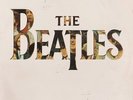 The Beatles - 20 Greatest Hits (LP, Comp, RE)