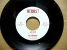 THE ORPHANS Hey Gyp B/W Without You ORIG 1967 HERBST 7