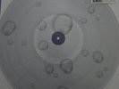 Selena Gomez Droplets EP Sealed RSD
