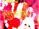 Hole - Pretty On The Inside - LP Vinyl - NEW Sealed - 2016 Reissue