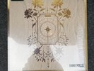 Sleep Token Caramel RSD 2026 Record Store Day Liquid Filled Vinyl LP In Hand