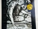 Fish Songs From The Mirror Vinyl