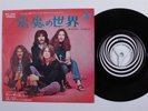 Hard Rock 45 BLACK SABBATH Wicked World VERTIGO japan picture sleeve j
