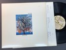 Talk Talk Original EMI LP 
