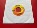 THE RAINBOWS People Like To Talk 1967 US 7