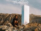 Full Flower Moon Band Megaflower (Vinyl) 12