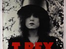 T. Rex - The Slider LP - Relativity SEALED