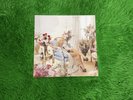 Sabrina Carpenter Man’s Best Friend Pink Champagne Liquid Filled Bad World Vinyl