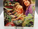 Mama Cass Dream A Little Dream Vinyl LP 1968 Dunhill Record 50040-S