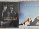 Whitesnake - Rock in Rio 1985 / Washington State 1984 - 2 x Double Vinyl LP Set