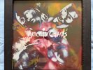 Alice In Chains Facelift Deluxe Box Set Opened Never Played (read description)