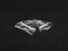 Kendrick Lamar To Pimp a Butterfly (10th Anniversary Edition (Vinyl) (US IMPORT)