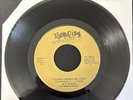 O.T Sykes - Rare Memphis 80s Soul 45 (Clips Included)