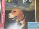 Himiko Kikuchi Flying Beagle 2025 LP Vinyl MHJL-440 Limited Edition City Pop NEW